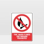 Prohibition Fire Flames Smoking Prohibited Sign